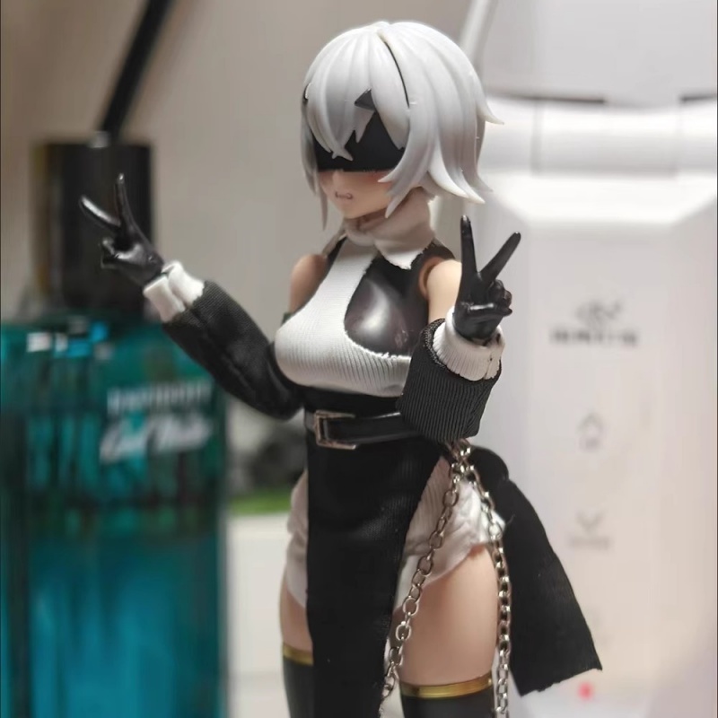 1/12 Schaal Gekleurde Off Scho - Model Kit For Girls recensie en prijs